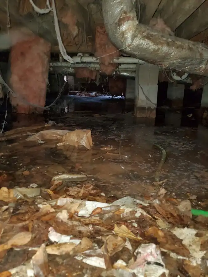 Crawl space flood assessment for Leak Detection & Repair in Chisago City