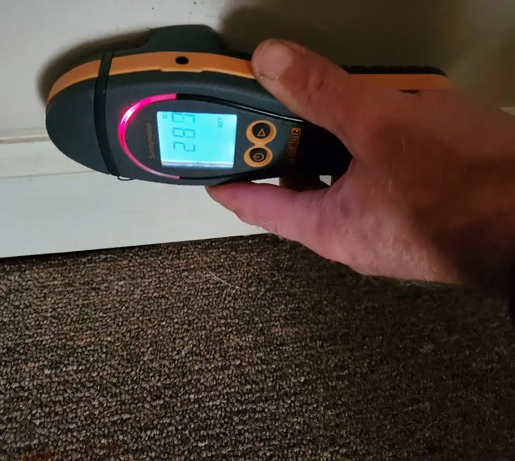 Moisture detection at baseboard during Sewage Cleanup & Sanitation in Chisago City
